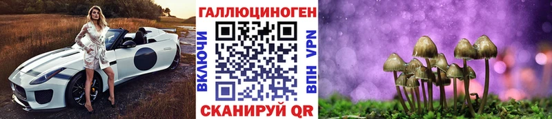 Купить  Солигалич  Псилоцибиновые грибы Cubensis 